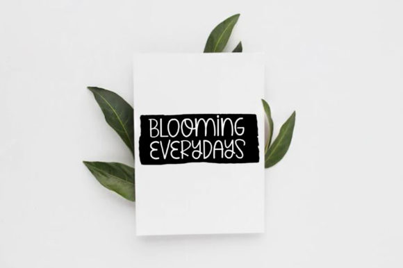 Joyful Magnolia Duo Font PNG with transparent background - Preview 2