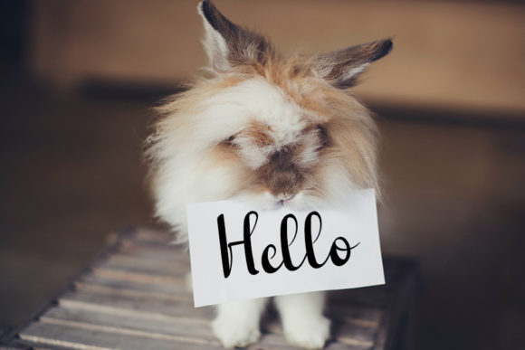 Lovely Friends Font PNG with transparent background - Preview 2