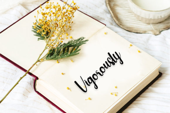 Mimosa Font PNG with transparent background - Preview 3