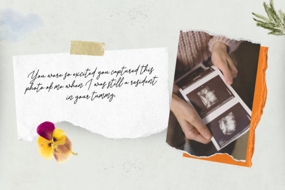 Pregnancy Journey Font PNG with transparent background - Preview 2