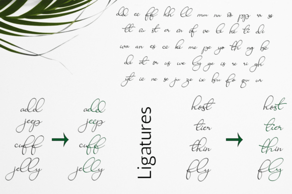 Ravishing Solidago Font font preview - 1