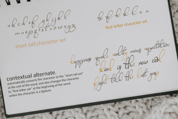 Ravishing Solidago Font font preview - 2