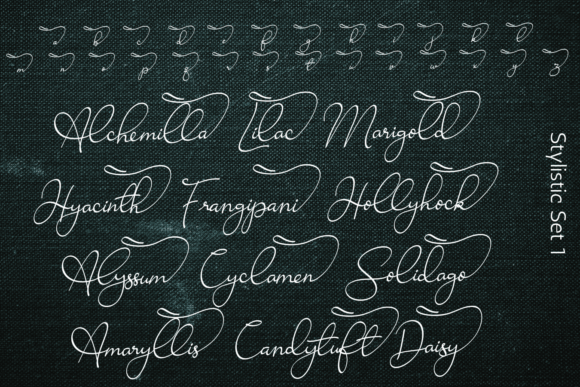Ravishing Solidago Font font preview - 4