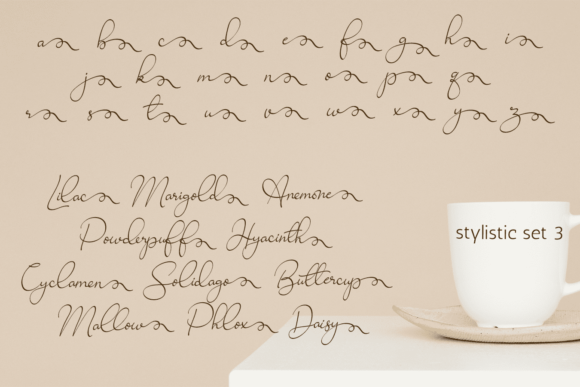 Ravishing Solidago Font font preview - 6