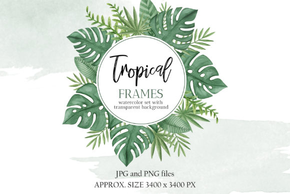 Tropical Frame Border Clipart Graphic Illustrations By Nastya Moon Designs