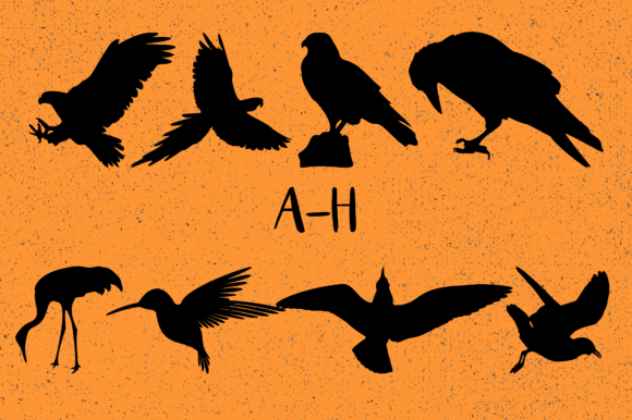 Birds Font - Preview 1