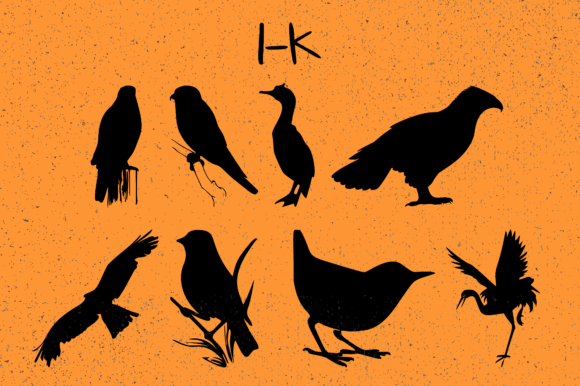 Birds Font - Preview 2