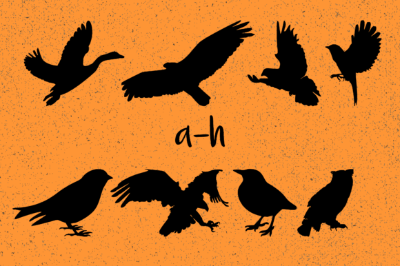 Birds Font - Preview 5