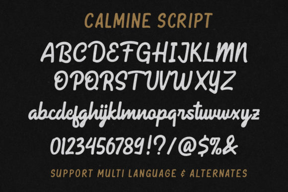 Calmine Duo Font - Preview 6