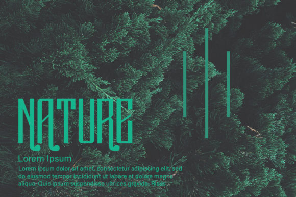 Classic Font - Preview 4