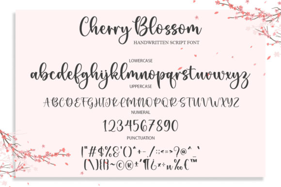 Cherry Blossom Font - Preview 5