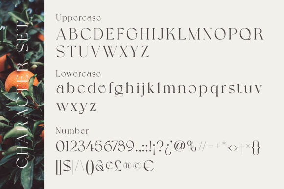 Grapevine Font - Preview 5