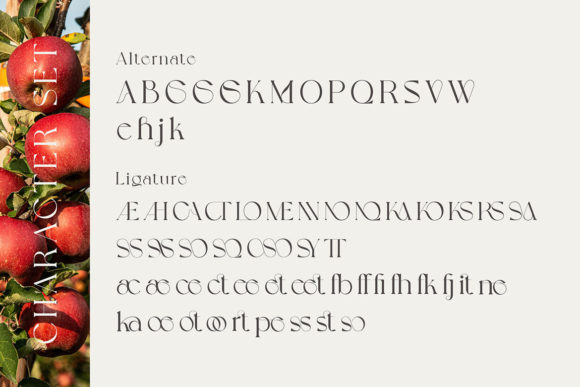Grapevine Font - Preview 6
