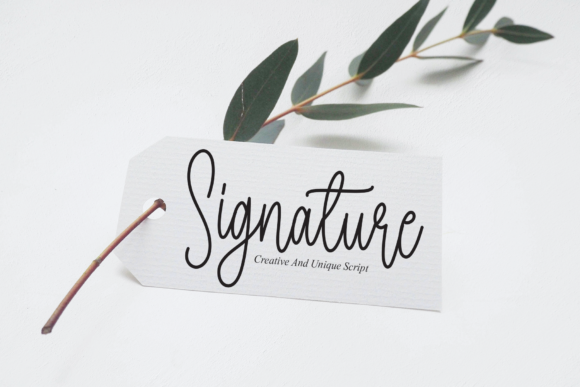 Autography Font - Preview 2