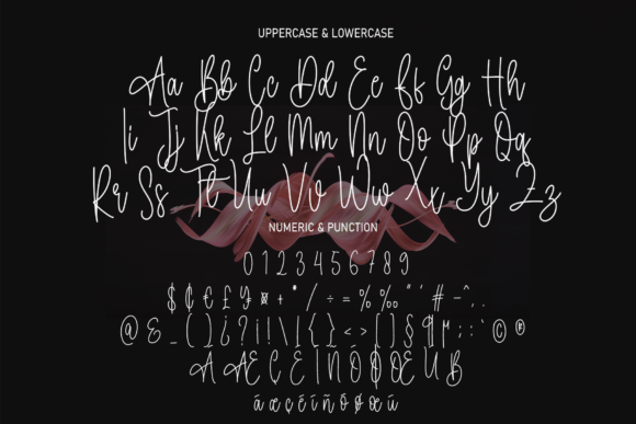 Autography Font - Preview 6