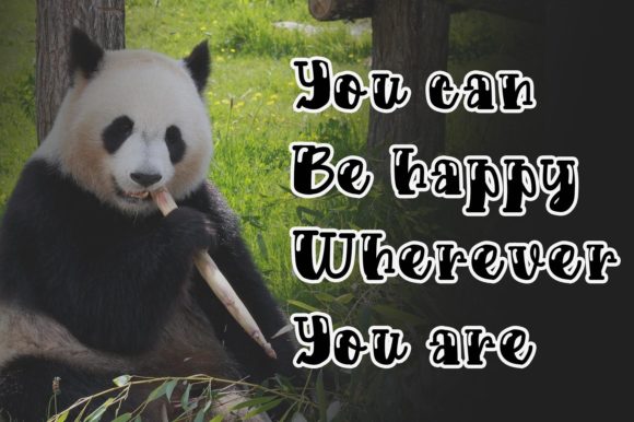 Big Panda Font - Preview 2