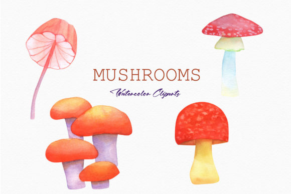 Forest Mushroom Watercolor Clipart PNG Graphic Illustrations By JoyDigitalDesign by Elena Platova
