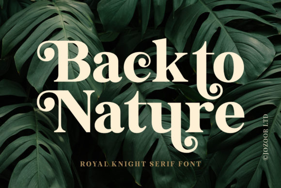 Royal Knight Font PNG with transparent background - Preview 1