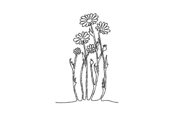 Daisies