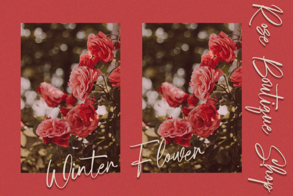Hole Flow Font PNG with transparent background - Preview 3