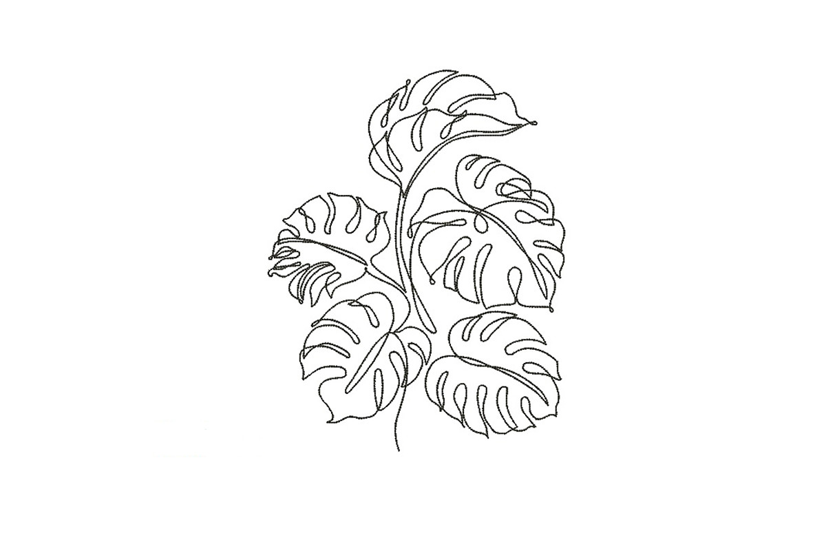 Monstera  Creative Fabrica