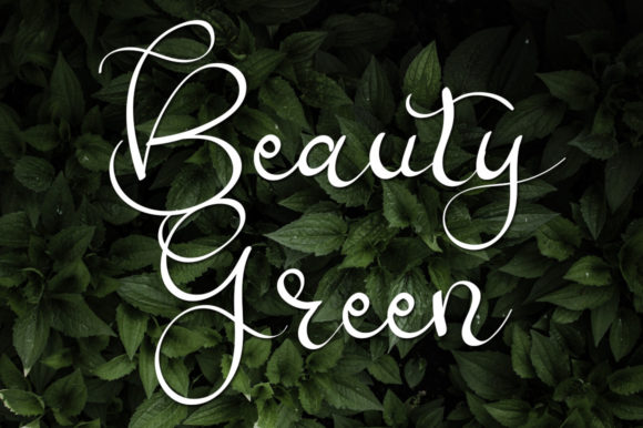 New Photography Font PNG with transparent background - Preview 2