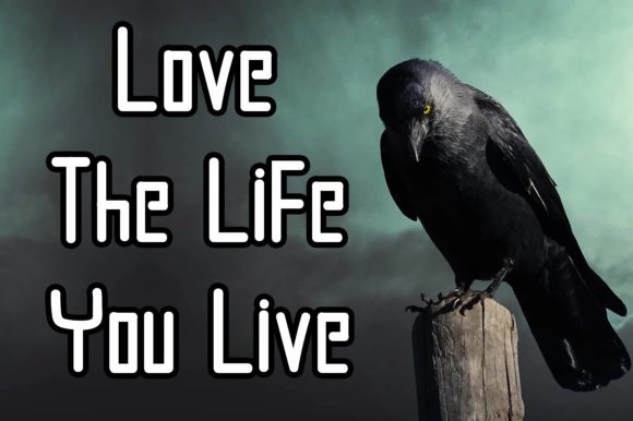 Big Black Crow Font - Preview 3