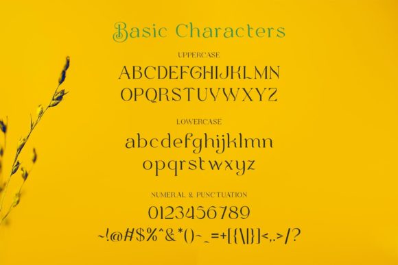 Bulone Font - Preview 4