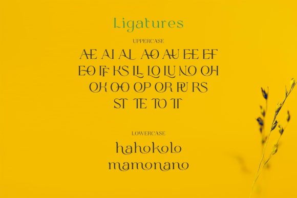 Bulone Font - Preview 6