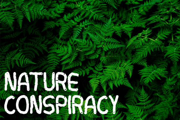 Junggeselle Font PNG with transparent background - Preview 6