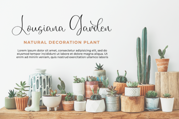 Euphoria Font - Preview 3