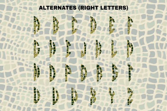 Alligator Circle Font - Preview 3