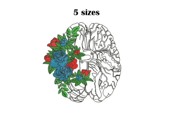 Anatomical Brain