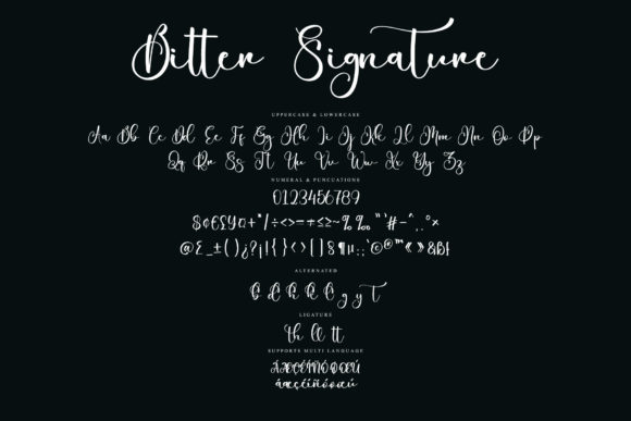 Bitter Signature Font - Preview 5