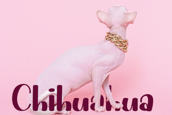 Charlie Font - Preview 1