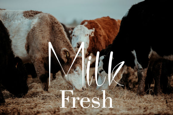 Farmlands Font - Preview 1