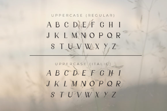 Gillion Font - Preview 1