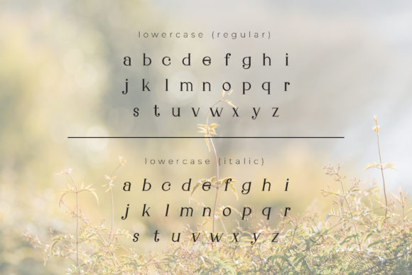 Gillion Font - Preview 2