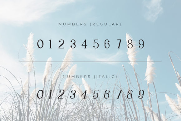 Gillion Font - Preview 3