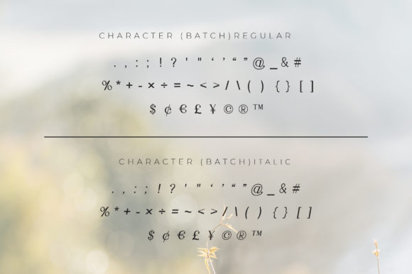 Gillion Font - Preview 4