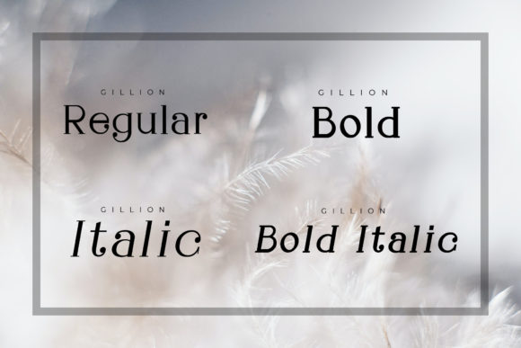 Gillion Font - Preview 5