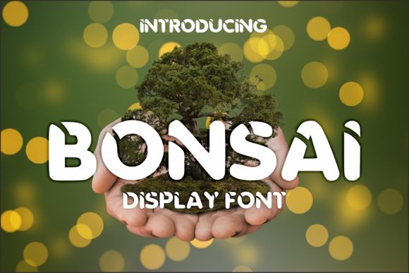 Bonsai Font by riki.studio  Creative Fabrica