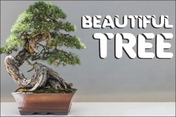 Bonsai Font - Preview 1