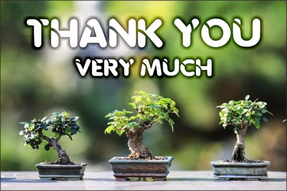 Bonsai Font by riki.studio  Creative Fabrica