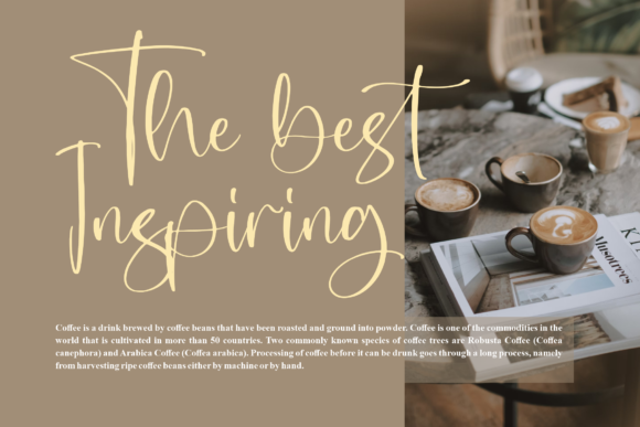 Noisette Rose Font font preview - 3
