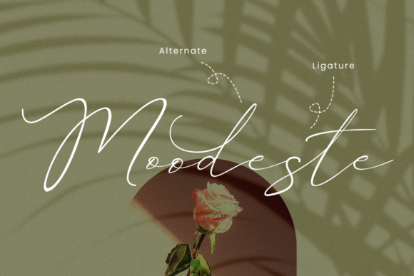 Palmegria Font PNG with transparent background - Preview 6