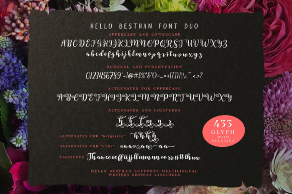 Besthan Font - Preview 4