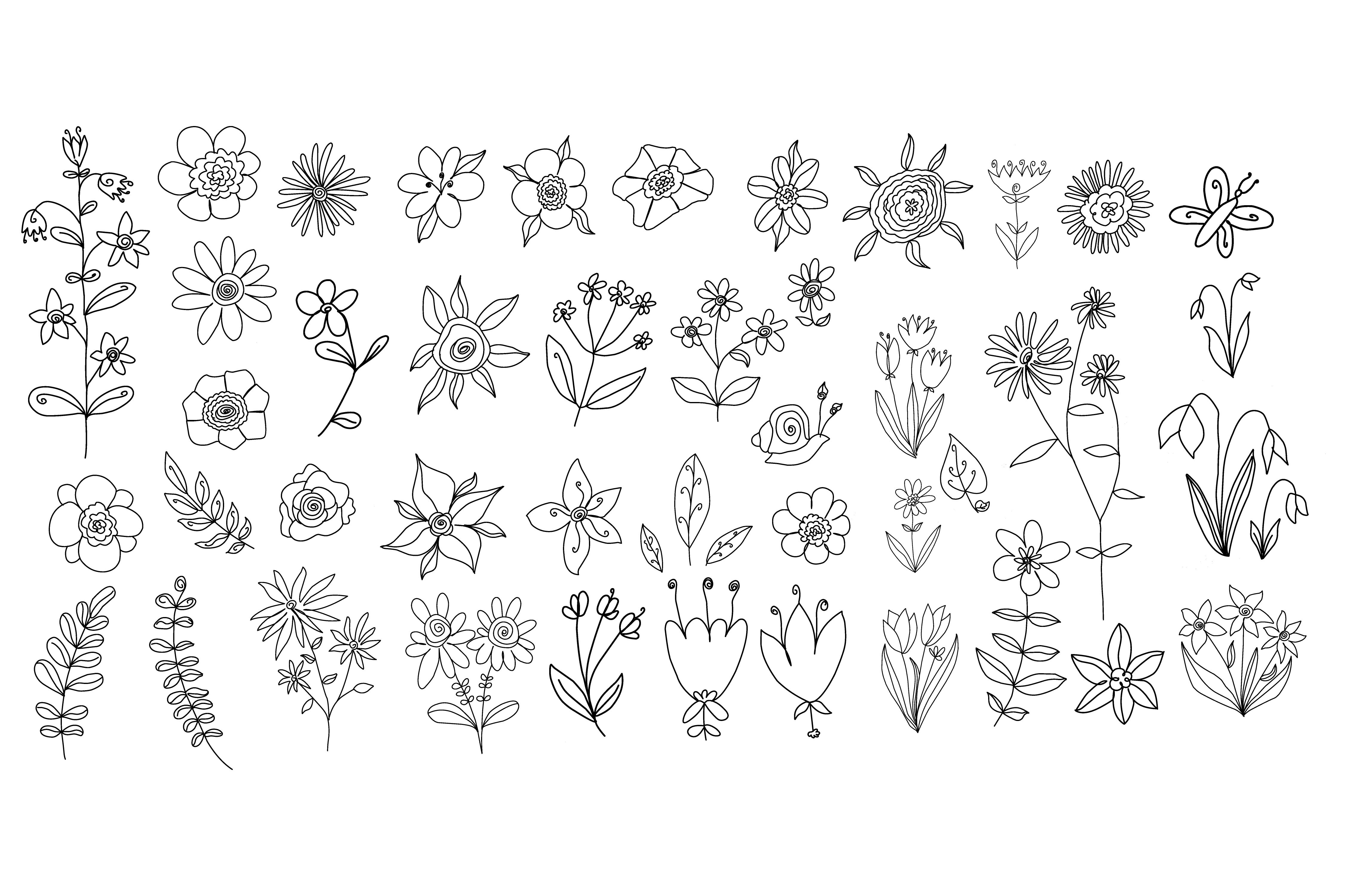 Flowers Set Graphic by oxur4 · Creative Fabrica