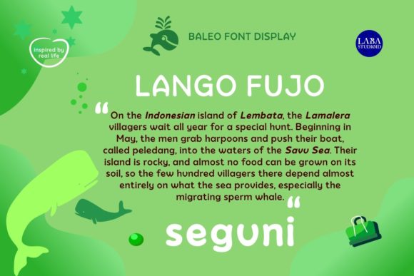 Baleo Font - Preview 4
