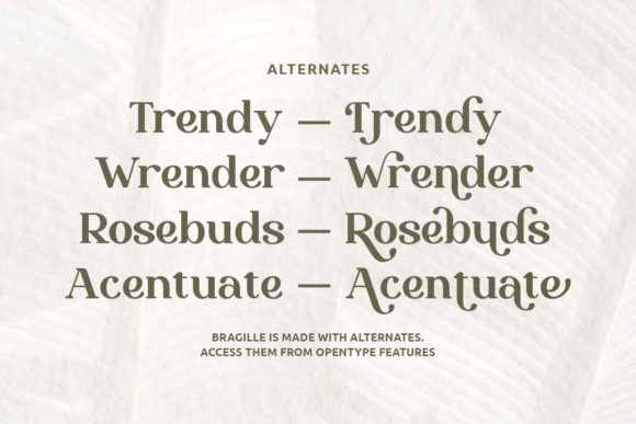 Bragille Font - Preview 5
